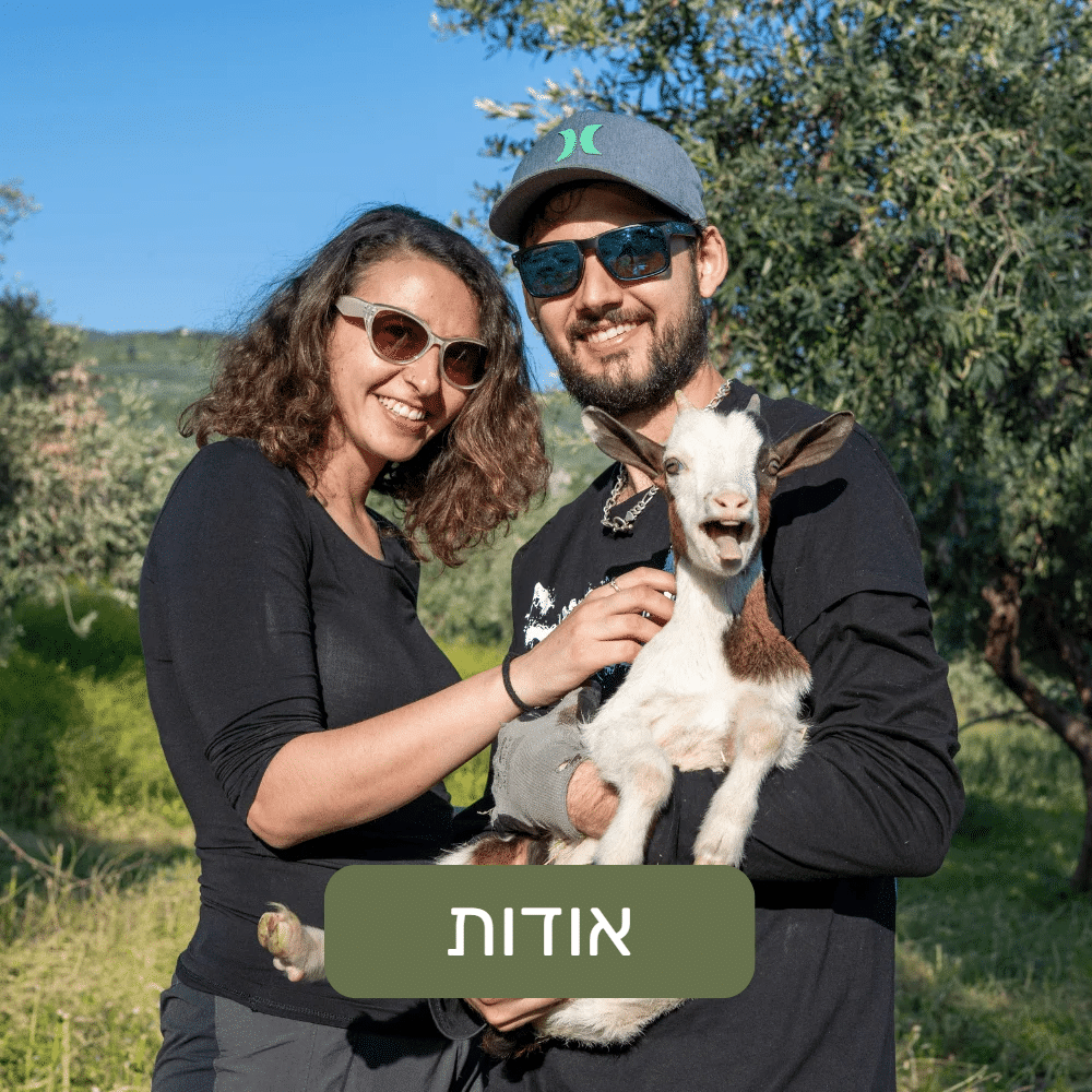 אודות Pilio82 - דור ואלן פרקש במטע