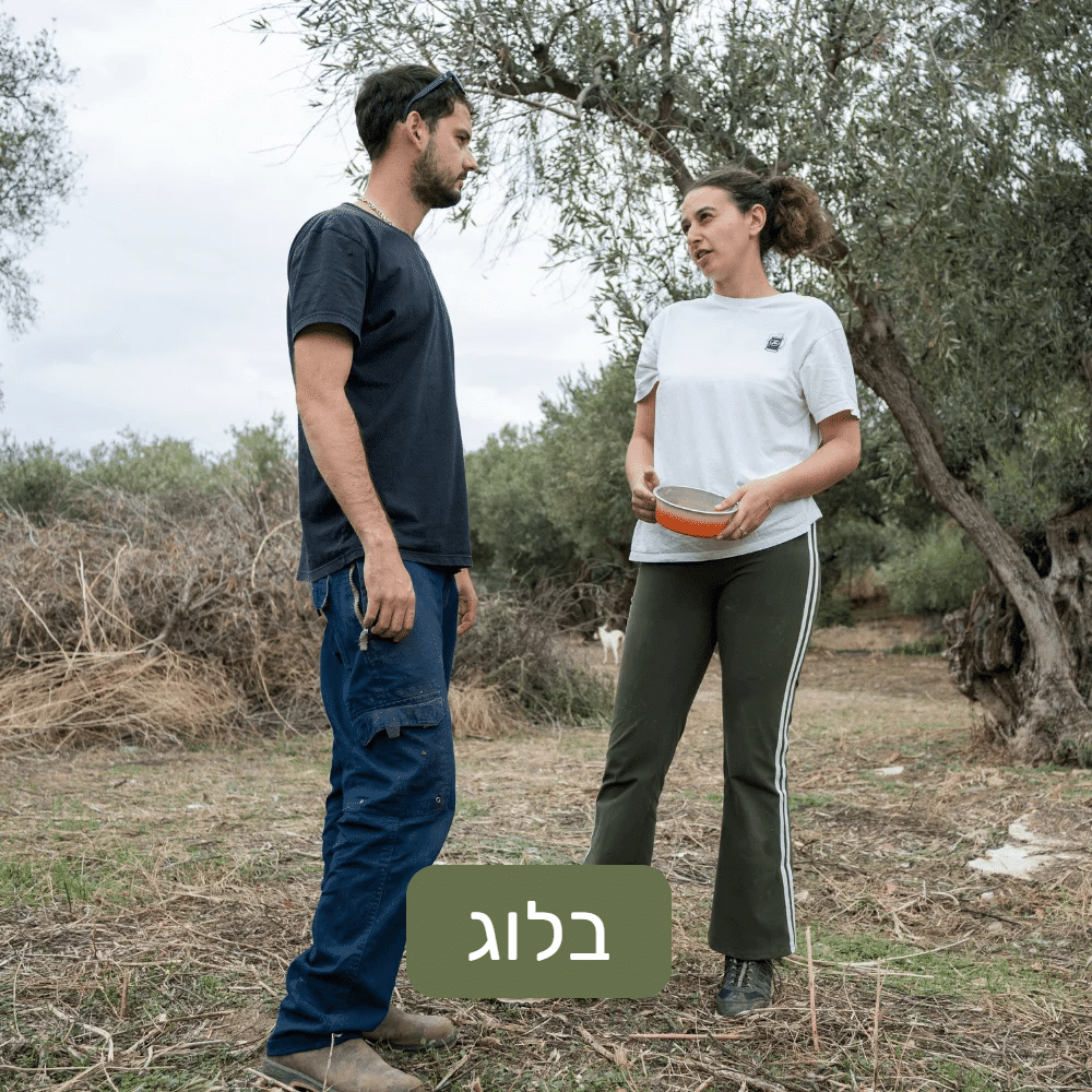 הבלוג של Pilio82