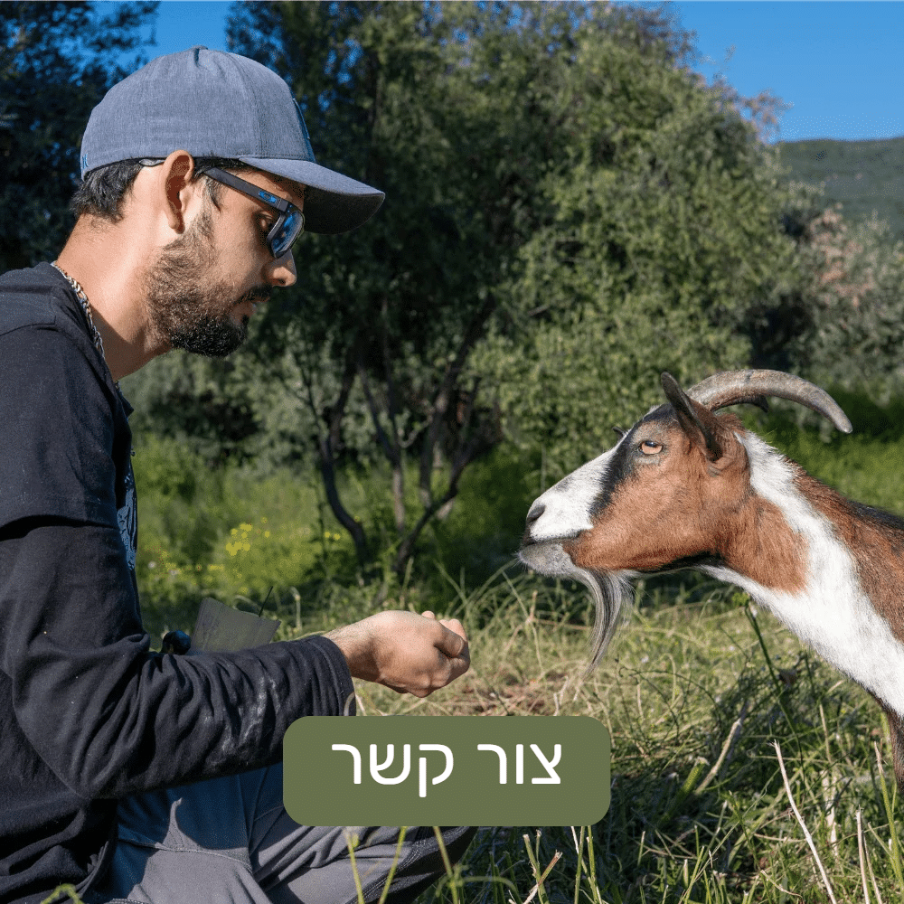 צור קשר עם Pilio82